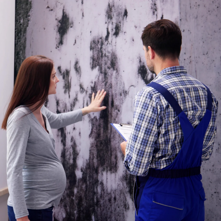 Untitled (1080 x 1080 px)_20250221_161454_0000