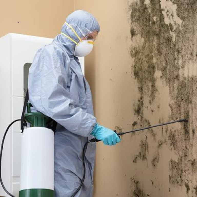 Untitled (1080 x 1080 px)_20250221_162652_0000